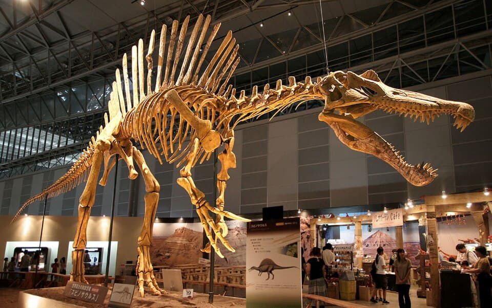 Spinosaurus skeletal mount, historical reconstruction